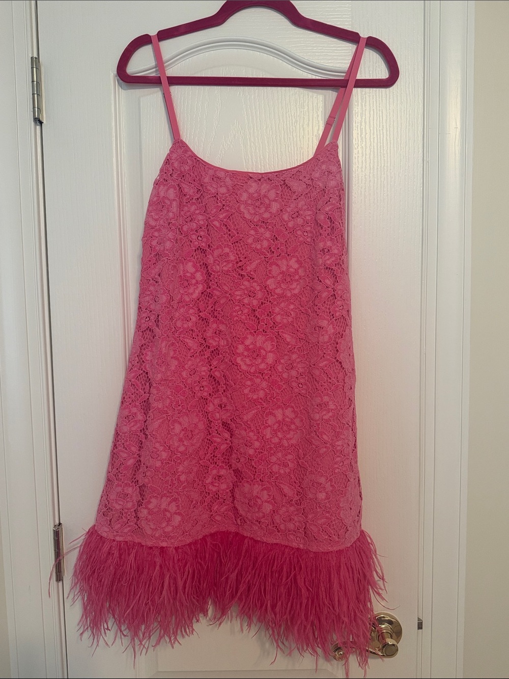 Likely Hot Pink Lace Party Dress with Feather Trim